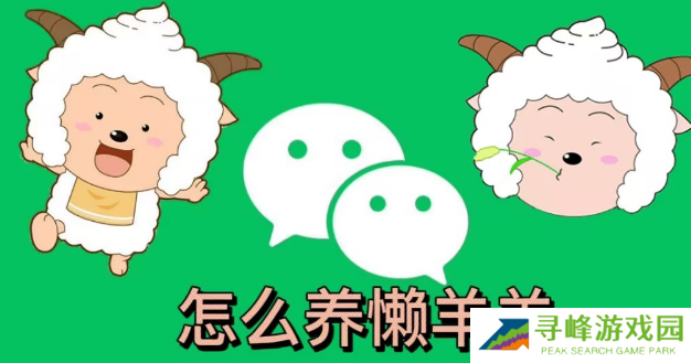 微信状态怎么养懒羊羊