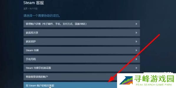 steamapi密钥怎么弄