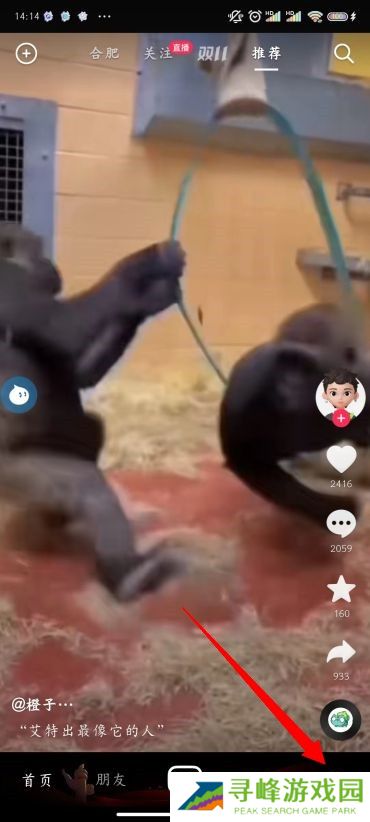 抖音怎么改名字