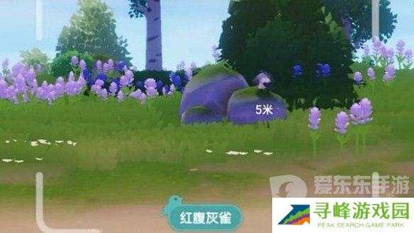 心动小镇怎么拍照 心动小镇拍照技巧分享