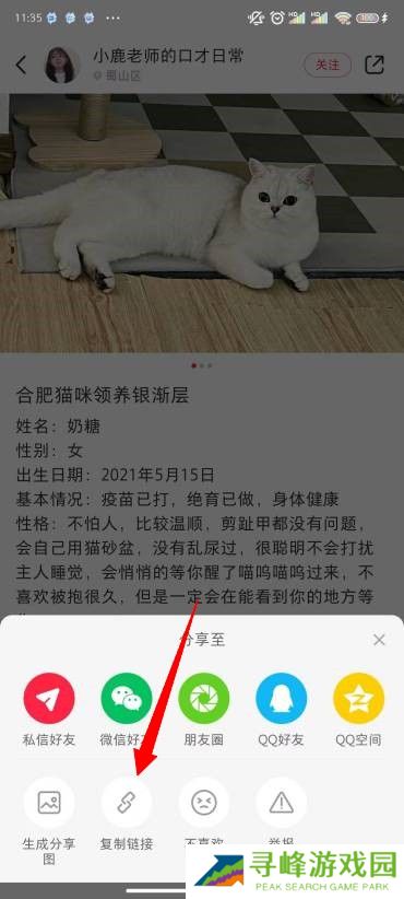 小红书图片怎么去水印