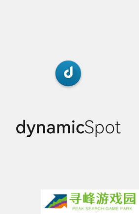 dynamicSpot怎么设置