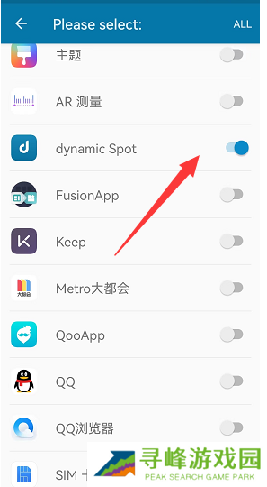 dynamicSpot怎么设置