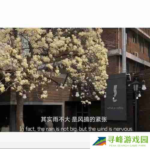 奶茶并不比烟贵一束花也不是高消费图片