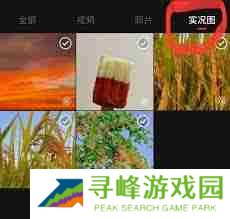 小红书如何发live图教程-小红书发布live图片详细步骤