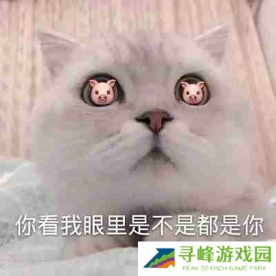 兜风吗妹妹表情包