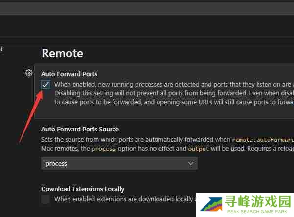 VSCode怎么开启自动转发端口