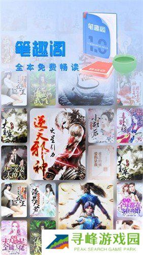 笔趣阁最新去广告版