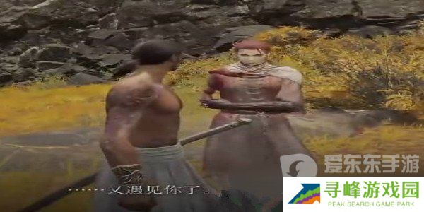 艾尔登法环女武神任务 女武神任务流程