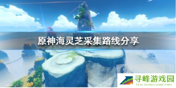 万叶突破材料海灵芝在哪 海灵芝采集路线