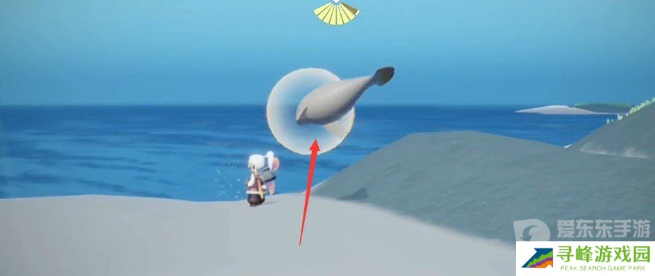 光遇海洋日全物品展示 光遇海洋日活动玩法攻略