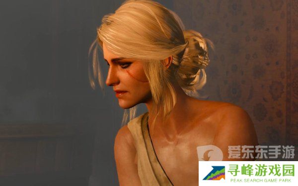 巫师3女性NPC换衣代码 控制台代码