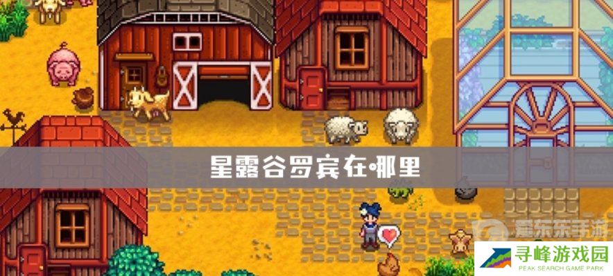 星露谷物语木匠在哪里 星露谷物语木匠罗宾行程
