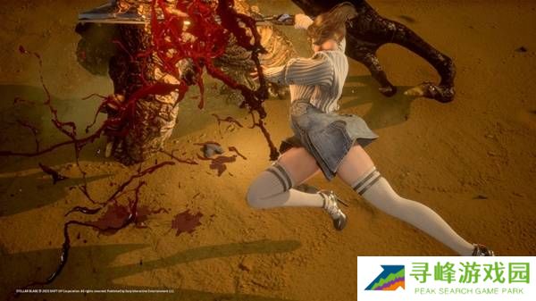 剑星拍照模式怎么拍全身   剑星怎么拍照好看？图片13