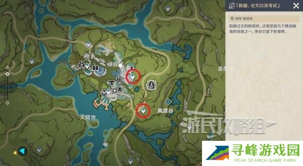 原神5.8提瓦特忆画雪幕前事拍照位置攻略大全图片37