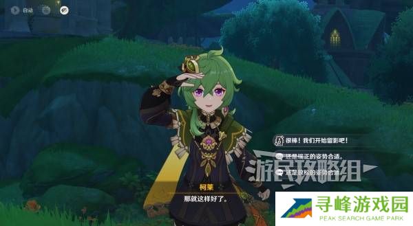 原神5.8提瓦特忆画雪幕前事拍照位置攻略大全图片38