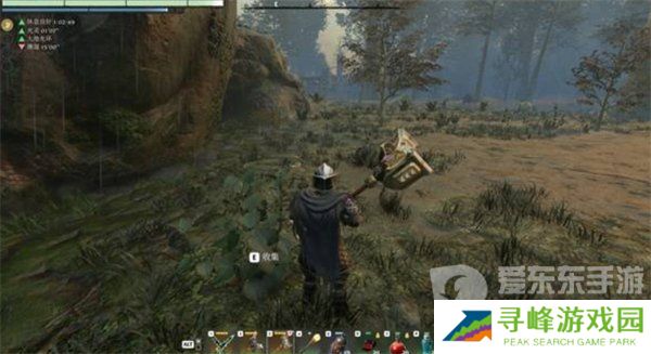 雾锁王国刺荨麻怎么获得 刺荨麻获得方法