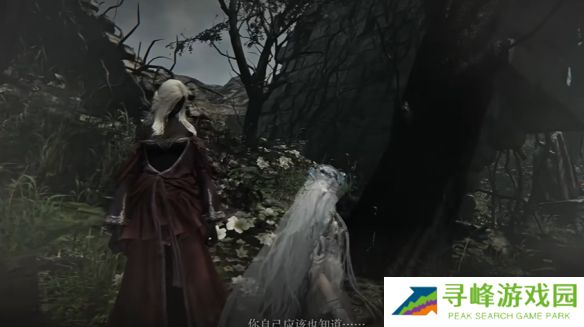 艾尔登法环黑夜君临支线全攻略  八大角色支线任务流程攻略图片80