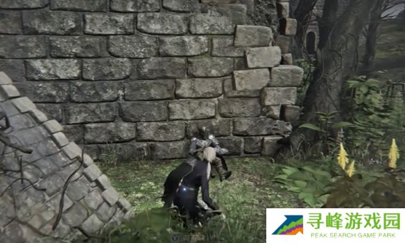 艾尔登法环黑夜君临支线全攻略  八大角色支线任务流程攻略图片53