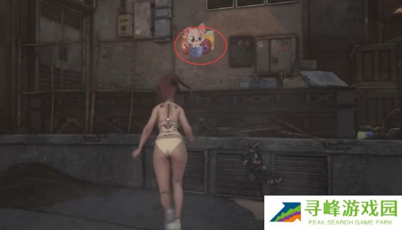 剑星猫咪摄影展全位置攻略  10只猫咪摄影展位置图文大全图片12