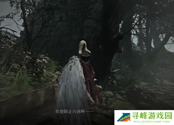 艾尔登法环黑夜君临支线全攻略  八大角色支线任务流程攻略图片76