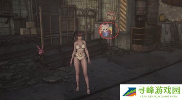 剑星猫咪摄影展全位置攻略  10只猫咪摄影展位置图文大全图片14