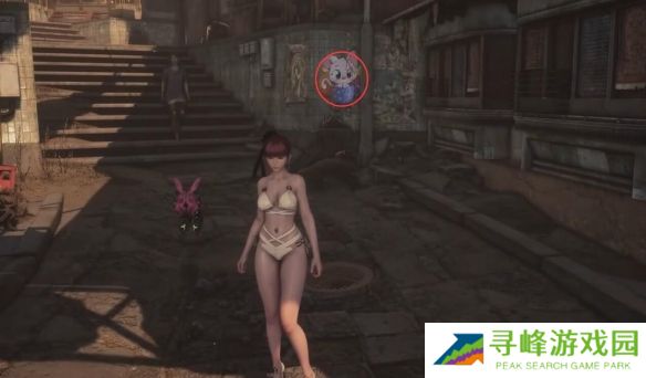 剑星猫咪摄影展全位置攻略  10只猫咪摄影展位置图文大全图片16