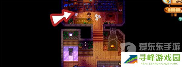 星露谷物语法师塔地下室怎么进入 法师塔地下室进入方法