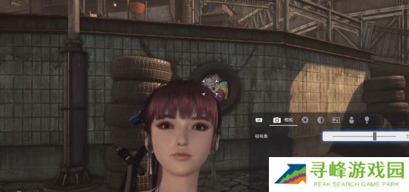 剑星猫咪摄影展全位置攻略  10只猫咪摄影展位置图文大全图片6