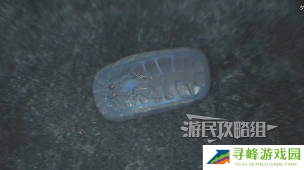 怪物猎人荒野大虚无动在哪捕获    大虚无动捕获攻略图片8