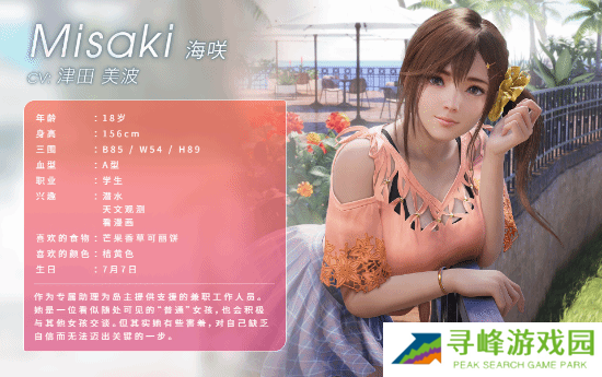 死或生维纳斯璀璨假期角色图鉴总汇 全角色三围