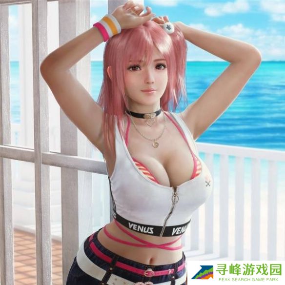 死或生维纳斯璀璨假期角色图鉴总汇 全角色三围