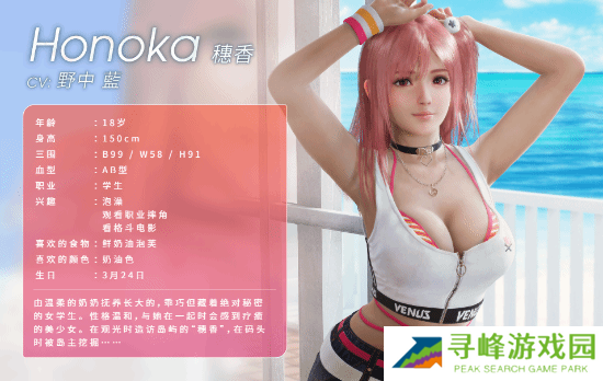 死或生维纳斯璀璨假期角色图鉴总汇 全角色三围