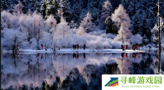 妈妈和三个姨妈给我过生日:温馨家庭聚会的真实体验与感悟