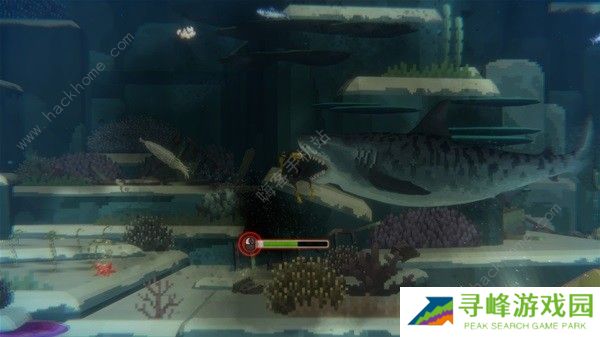 潜水员戴夫攻略大全 新手必玩技巧总汇图片7