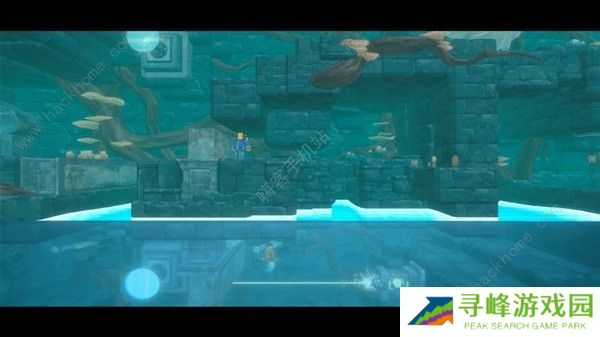 潜水员戴夫攻略大全 新手必玩技巧总汇图片19