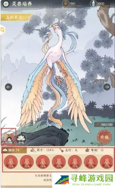 小小夜市攻略大全 新手前期赚钱技巧图片6