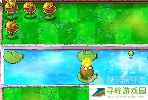 植物大战僵尸杂交版挑战模式第19关怎么过 第19关完美布局攻略