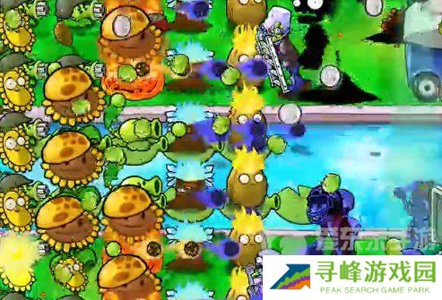 植物大战僵尸杂交版挑战模式第19关怎么过 第19关完美布局攻略