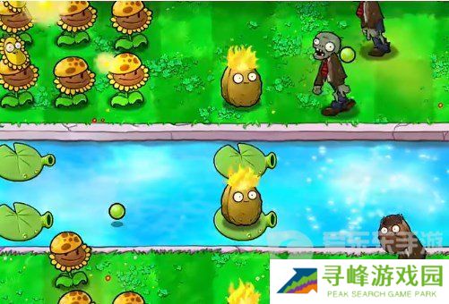 植物大战僵尸杂交版挑战模式第19关怎么过 第19关完美布局攻略