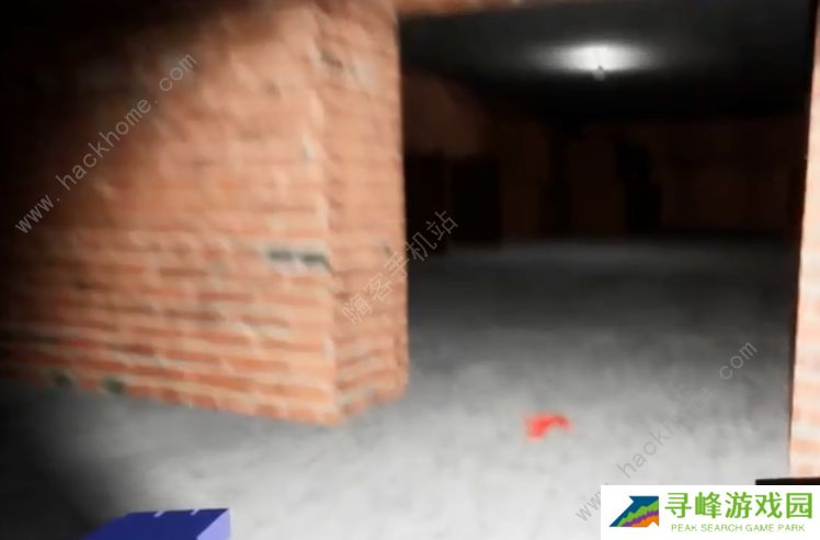 冒险的朵拉游戏攻略大全 盗版朵拉游戏通关结局总汇图片2