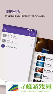 kmplayer plus中文版