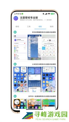 主题壁纸专业版