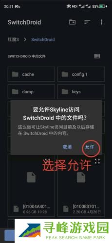 Skyline模拟器