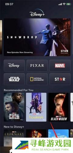 Disney+