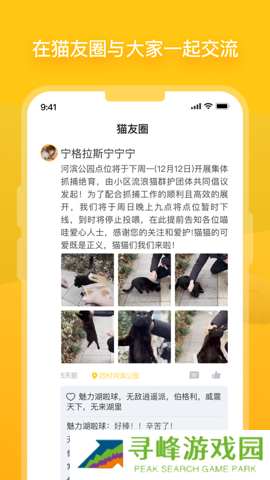 街猫 1.31.0 安卓版