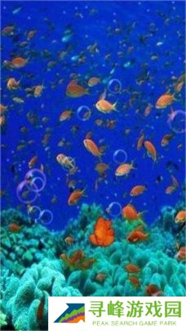 海底世界动态屏保