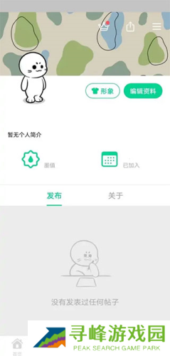 大画家Domo怎么ai画画