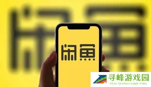 闲鱼二手市场旧货市场