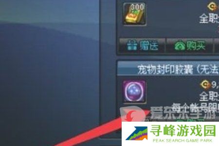 地下城与勇士起源宠物封印胶囊怎么用 宠物封印胶囊使用方法